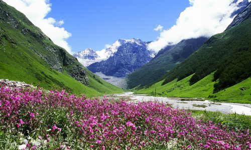Valley of Flowers Uttarakhand